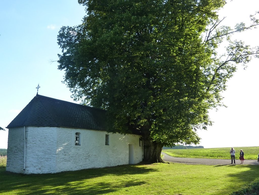 Afbeelding 014